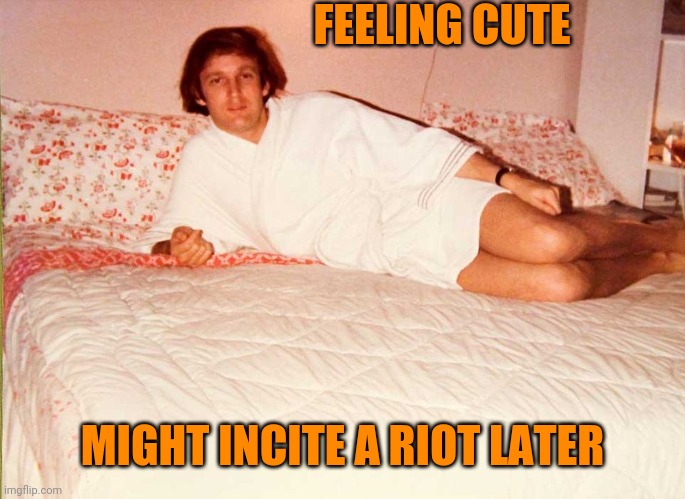 Trump Bed | FEELING CUTE; MIGHT INCITE A RIOT LATER | image tagged in trump bed | made w/ Imgflip meme maker