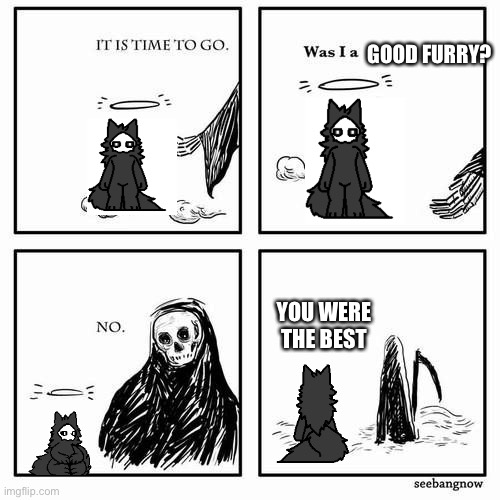 Y E S | GOOD FURRY? YOU WERE THE BEST | image tagged in it is time to go,puro,god | made w/ Imgflip meme maker