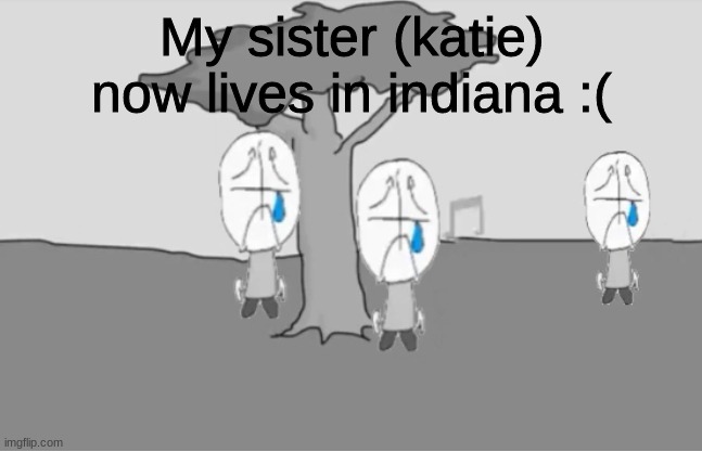 My sister moved out of ohio. (IRL) | My sister (katie) now lives in indiana :( | image tagged in sadness combat | made w/ Imgflip meme maker