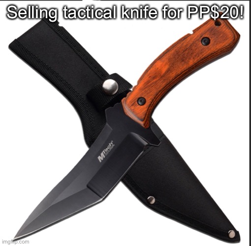 Selling tactical knife for PP$20! | made w/ Imgflip meme maker