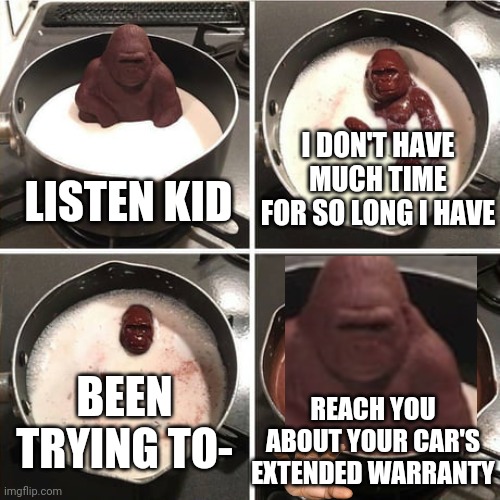 Chocolate Harambe |  I DON'T HAVE MUCH TIME FOR SO LONG I HAVE; LISTEN KID; BEEN TRYING TO-; REACH YOU ABOUT YOUR CAR'S EXTENDED WARRANTY | image tagged in chocolate harambe,memes,meme,funny memes,original meme,finally | made w/ Imgflip meme maker