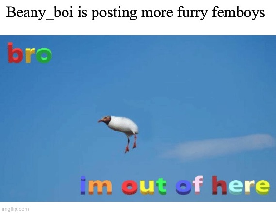 No offense, But that shit nearly made me puke yesterday, anyways Adios | Beany_boi is posting more furry femboys | image tagged in bro i'm out of here | made w/ Imgflip meme maker