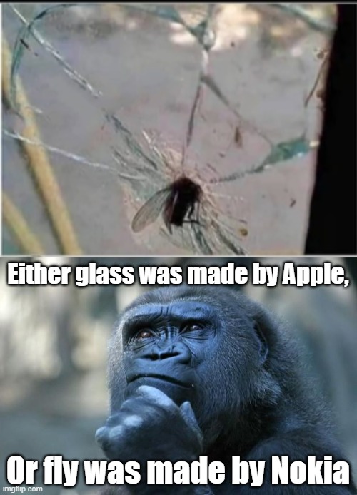 Wut d'you guys think? | Either glass was made by Apple, Or fly was made by Nokia | image tagged in deep thoughts | made w/ Imgflip meme maker