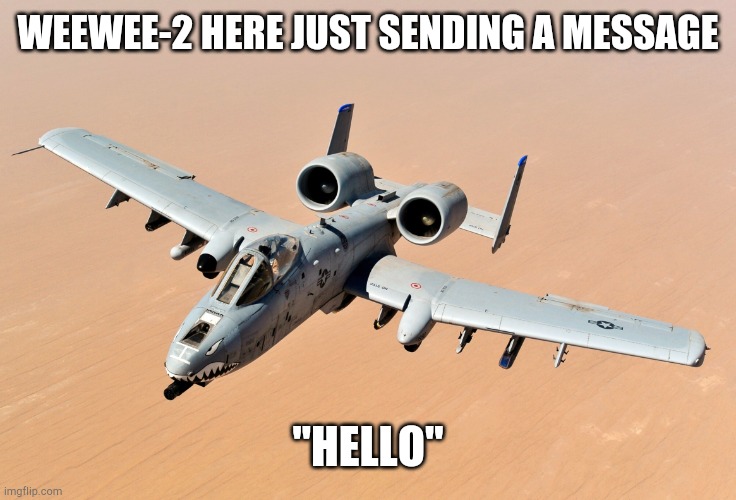 weewee-2 | WEEWEE-2 HERE JUST SENDING A MESSAGE "HELLO" | image tagged in weewee-2 | made w/ Imgflip meme maker