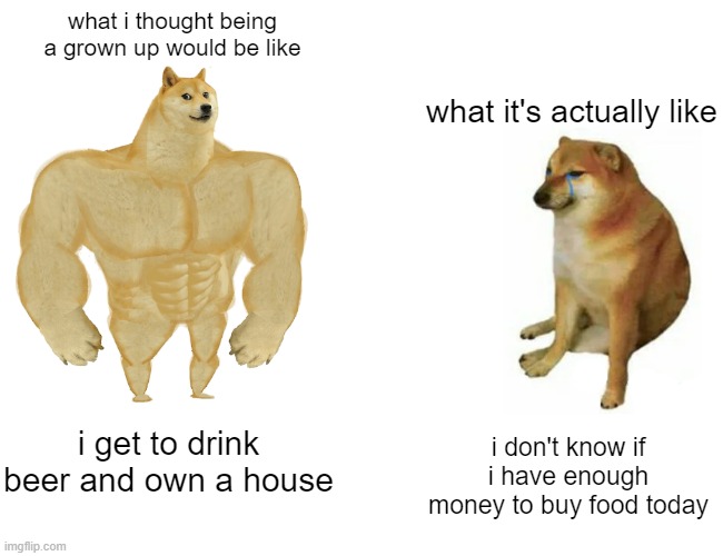 free epic pink pearl apples | what i thought being a grown up would be like; what it's actually like; i get to drink beer and own a house; i don't know if i have enough money to buy food today | image tagged in memes,buff doge vs cheems | made w/ Imgflip meme maker