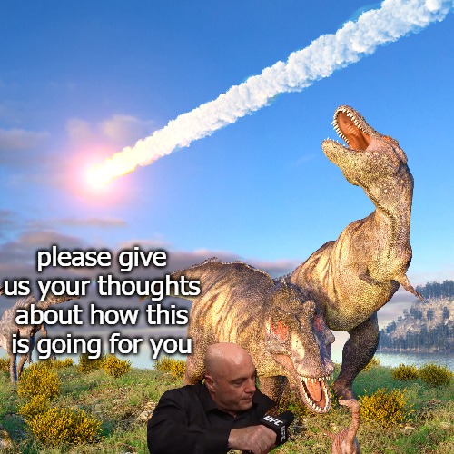 please give us your thoughts about how this is going for you | image tagged in rogy | made w/ Imgflip meme maker