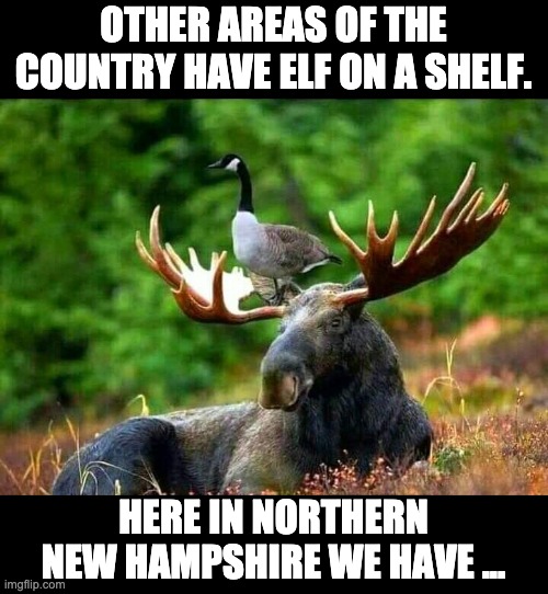 Elf? |  OTHER AREAS OF THE COUNTRY HAVE ELF ON A SHELF. HERE IN NORTHERN NEW HAMPSHIRE WE HAVE ... | image tagged in elf on the shelf | made w/ Imgflip meme maker