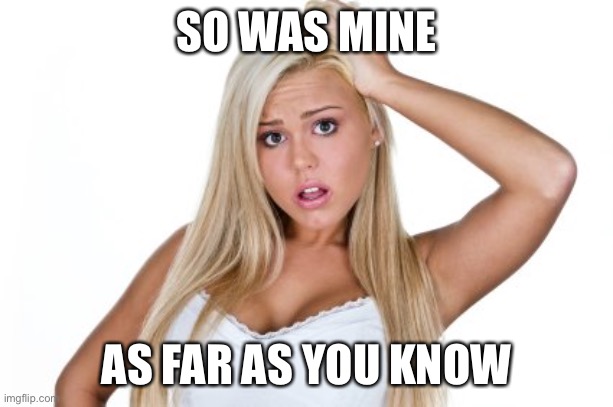 Dumb Blonde | SO WAS MINE AS FAR AS YOU KNOW | image tagged in dumb blonde | made w/ Imgflip meme maker