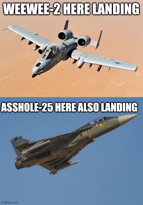 WEEWEE-2 HERE LANDING; ASSHOLE-25 HERE ALSO LANDING | image tagged in weewee-2,asshole-25 | made w/ Imgflip meme maker