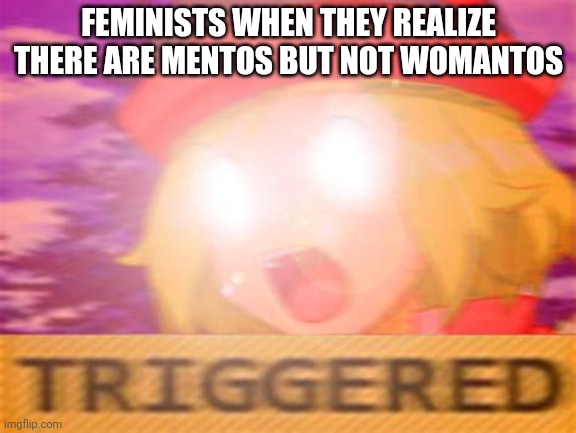 Feminists be like: | FEMINISTS WHEN THEY REALIZE THERE ARE MENTOS BUT NOT WOMANTOS | image tagged in why,hamburger,sus,help me | made w/ Imgflip meme maker