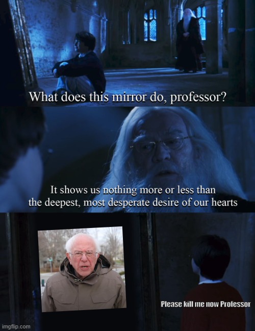 Harry potter desire mirror | Please kill me now Professor | image tagged in harry potter desire mirror | made w/ Imgflip meme maker