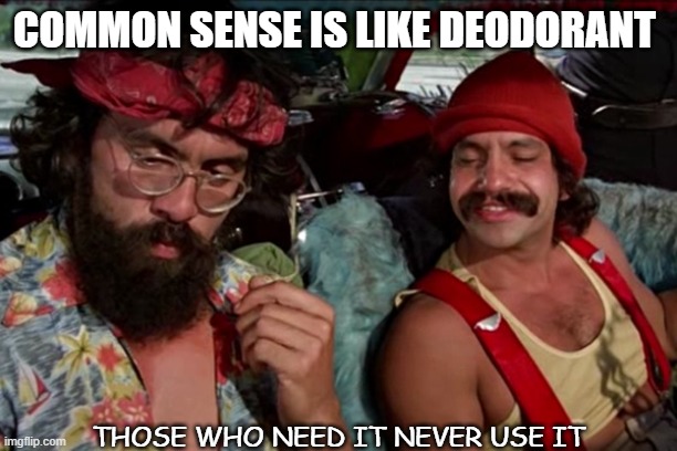 Daily Bad Dad Joke 07/16/2021 | COMMON SENSE IS LIKE DEODORANT; THOSE WHO NEED IT NEVER USE IT | image tagged in cheech chong | made w/ Imgflip meme maker