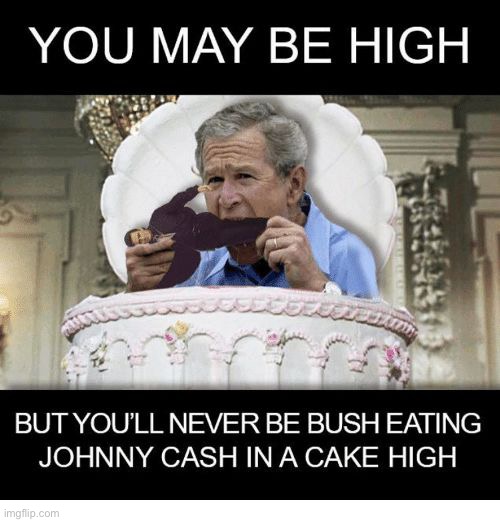 George Bush in cake high | image tagged in george bush in cake high | made w/ Imgflip meme maker