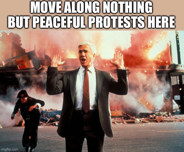 Move it Along | MOVE ALONG NOTHING BUT PEACEFUL PROTESTS HERE | image tagged in nothing to see here,i find it to be abhorid | made w/ Imgflip meme maker