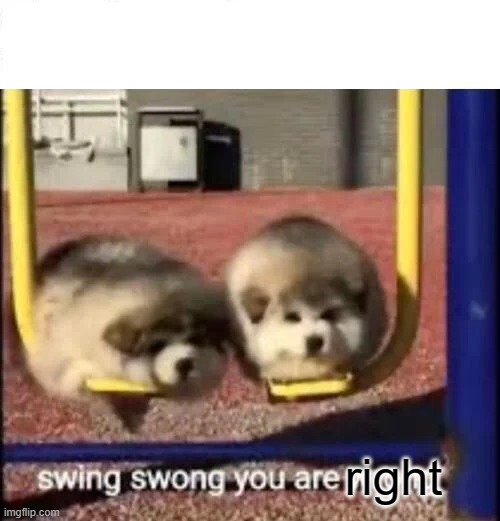 SWING SWONG YOU ARE WRONG | right | image tagged in swing swong you are wrong | made w/ Imgflip meme maker