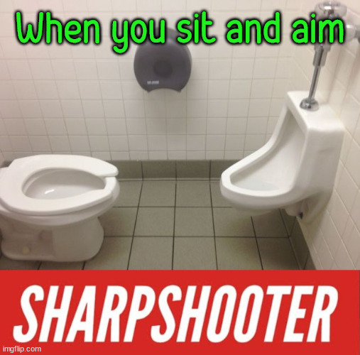 When you sit and aim | image tagged in aim | made w/ Imgflip meme maker