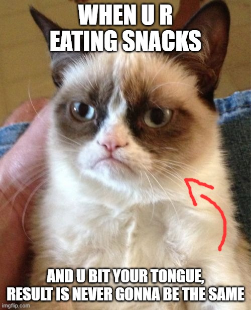 when u r eating snacks... | WHEN U R EATING SNACKS; AND U BIT YOUR TONGUE, RESULT IS NEVER GONNA BE THE SAME | image tagged in memes,grumpy cat | made w/ Imgflip meme maker