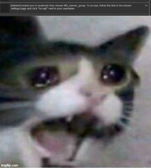 Nah, Im not asking for mod- | image tagged in crying cat | made w/ Imgflip meme maker