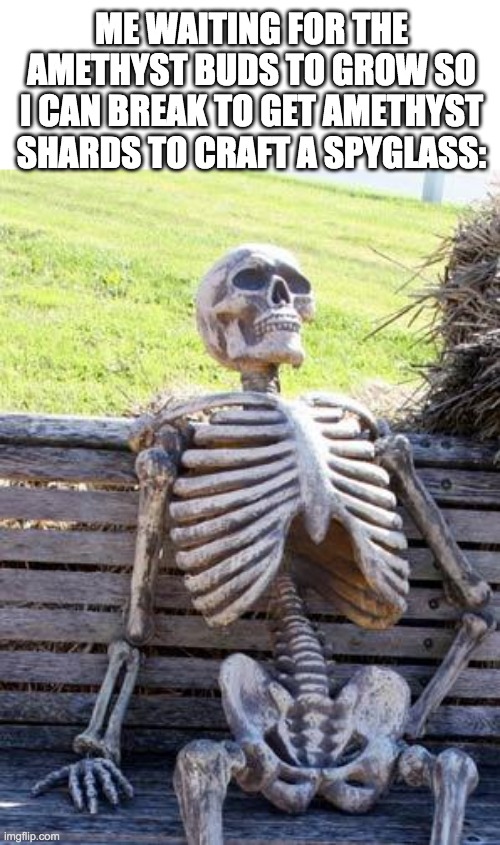 1 eternity later | ME WAITING FOR THE AMETHYST BUDS TO GROW SO I CAN BREAK TO GET AMETHYST SHARDS TO CRAFT A SPYGLASS: | image tagged in memes,waiting skeleton | made w/ Imgflip meme maker