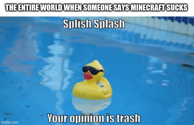 it is best game forever | THE ENTIRE WORLD WHEN SOMEONE SAYS MINECRAFT SUCKS | image tagged in splish splash your opinion is trash | made w/ Imgflip meme maker