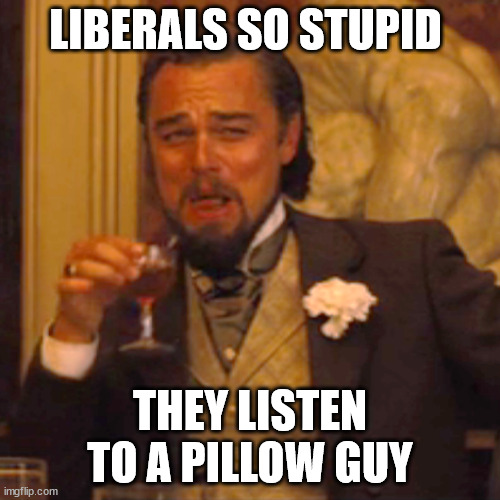 DumbA$$ Liberals | LIBERALS SO STUPID; THEY LISTEN TO A PILLOW GUY | image tagged in memes,laughing leo | made w/ Imgflip meme maker