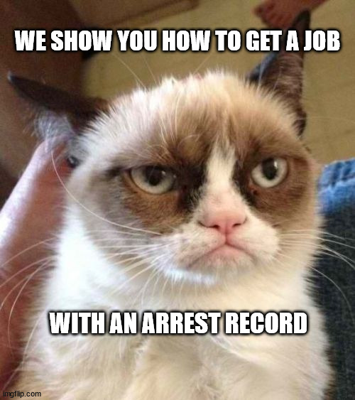 Grumpy Cat Reverse Meme | WE SHOW YOU HOW TO GET A JOB; WITH AN ARREST RECORD | image tagged in memes,grumpy cat reverse,grumpy cat | made w/ Imgflip meme maker