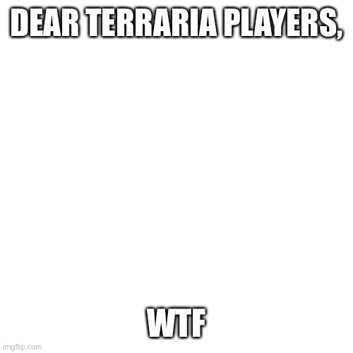 Blank Transparent Square Meme | DEAR TERRARIA PLAYERS, WTF | image tagged in memes,blank transparent square | made w/ Imgflip meme maker
