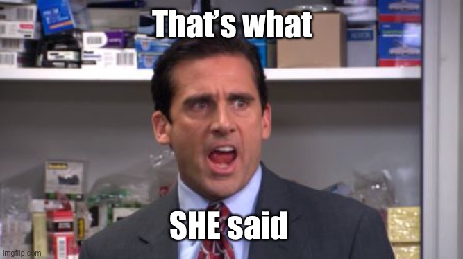 the office bankruptcy | That’s what SHE said | image tagged in the office bankruptcy | made w/ Imgflip meme maker