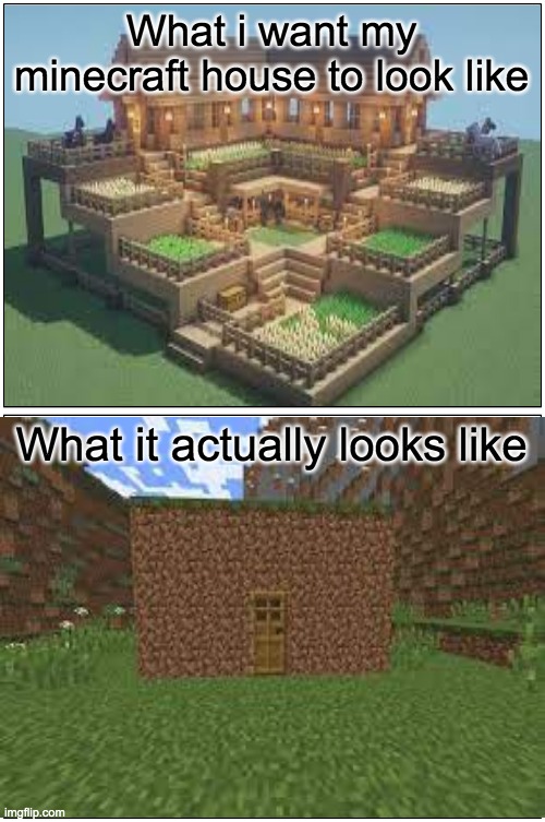 expectation vs reality | What i want my minecraft house to look like; What it actually looks like | image tagged in memes,blank comic panel 1x2 | made w/ Imgflip meme maker