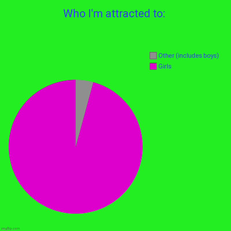 My chart | Who I'm attracted to: | Girls, Other (includes boys) | image tagged in charts,pie charts | made w/ Imgflip chart maker