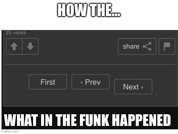 How | HOW THE…; WHAT IN THE FUNK HAPPENED | image tagged in memes | made w/ Imgflip meme maker
