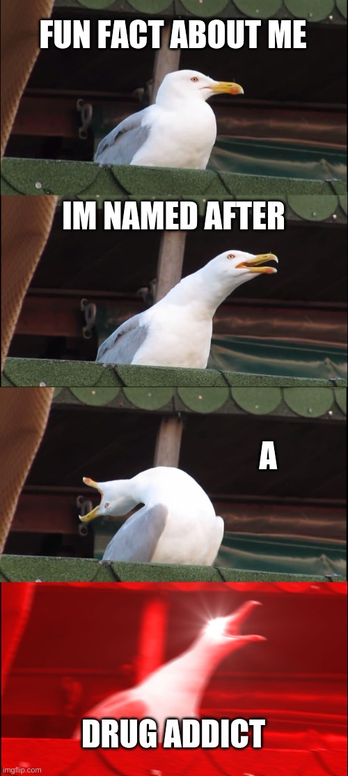Inhaling Seagull Meme | FUN FACT ABOUT ME; IM NAMED AFTER; A; DRUG ADDICT | image tagged in memes,inhaling seagull | made w/ Imgflip meme maker