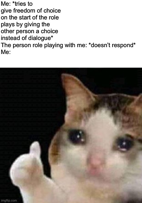 sad thumbs up cat | Me: *tries to give freedom of choice on the start of the role plays by giving the other person a choice instead of dialogue*
The person role playing with me: *doesn’t respond*
Me: | image tagged in sad thumbs up cat | made w/ Imgflip meme maker