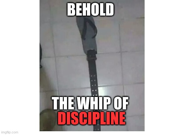 BEHOLD THE WHIP OF DISCIPLINE | made w/ Imgflip meme maker
