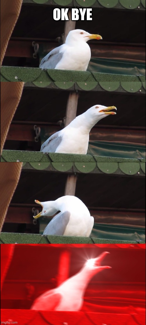 Inhaling Seagull Meme | OK BYE | image tagged in memes,inhaling seagull | made w/ Imgflip meme maker