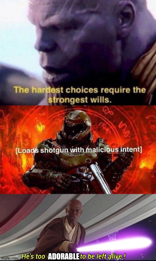 ADORABLE | image tagged in the hardest choices require the strongest wills,loads shotgun with malicious intent,he's too dangerous to be left alive | made w/ Imgflip meme maker