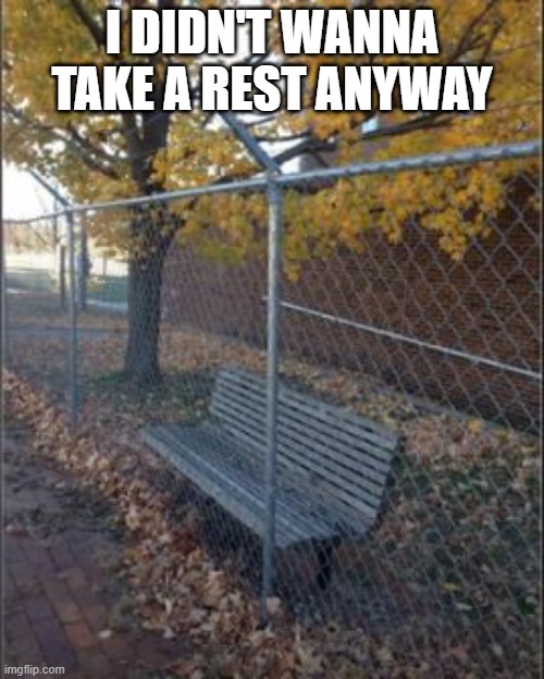 Benched | I DIDN'T WANNA TAKE A REST ANYWAY | image tagged in you had one job | made w/ Imgflip meme maker