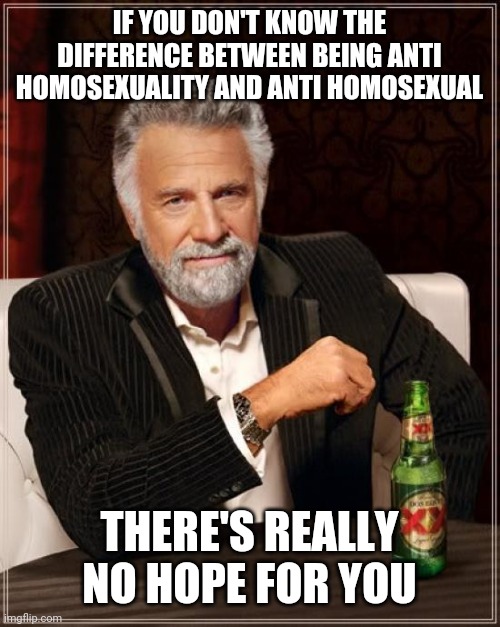 Here's a hint: One is hatred for the act of and one is hatred for the individual. | IF YOU DON'T KNOW THE DIFFERENCE BETWEEN BEING ANTI HOMOSEXUALITY AND ANTI HOMOSEXUAL; THERE'S REALLY NO HOPE FOR YOU | image tagged in memes,the most interesting man in the world | made w/ Imgflip meme maker