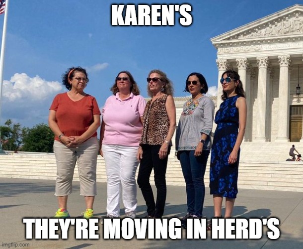 Karen's, They're moving in herd's | KAREN'S; THEY'RE MOVING IN HERD'S | image tagged in karen,texas democrats | made w/ Imgflip meme maker