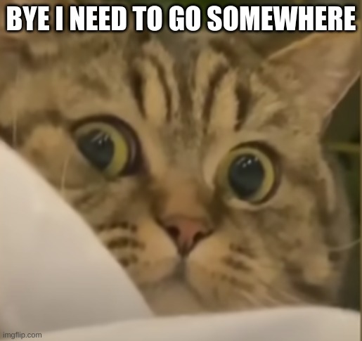 Da hell | BYE I NEED TO GO SOMEWHERE | image tagged in da hell | made w/ Imgflip meme maker