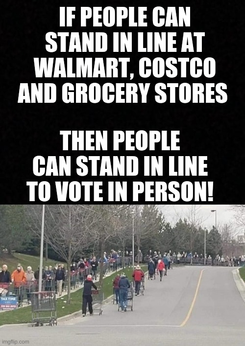 Go vote! | IF PEOPLE CAN STAND IN LINE AT WALMART, COSTCO AND GROCERY STORES; THEN PEOPLE CAN STAND IN LINE TO VOTE IN PERSON! | image tagged in mail in ballots,phone in ballots,voting,canada,fraud | made w/ Imgflip meme maker