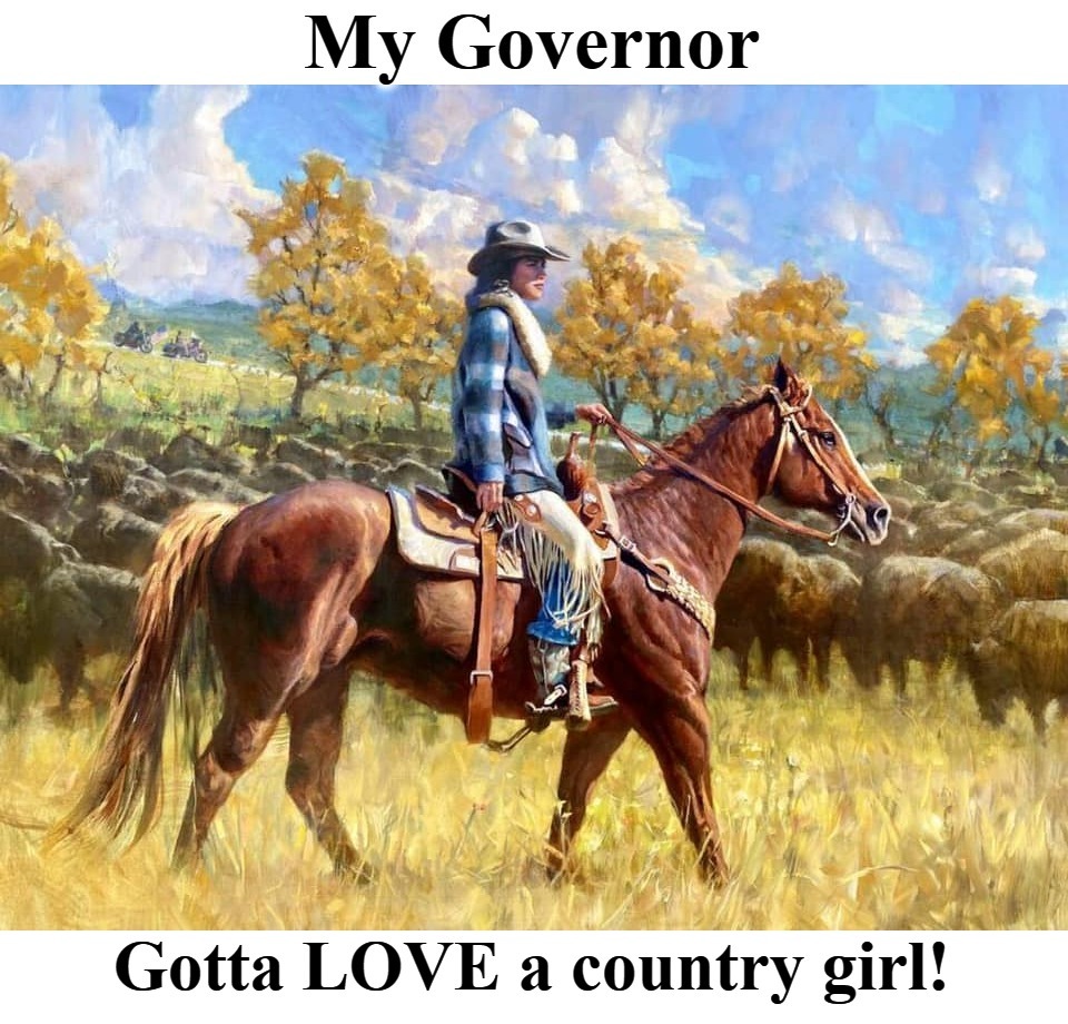 Kristi Noem, Governor of South Dakota | image tagged in country girl,redneck girl,kristi noem,governor,south dakota,cowgirl | made w/ Imgflip meme maker