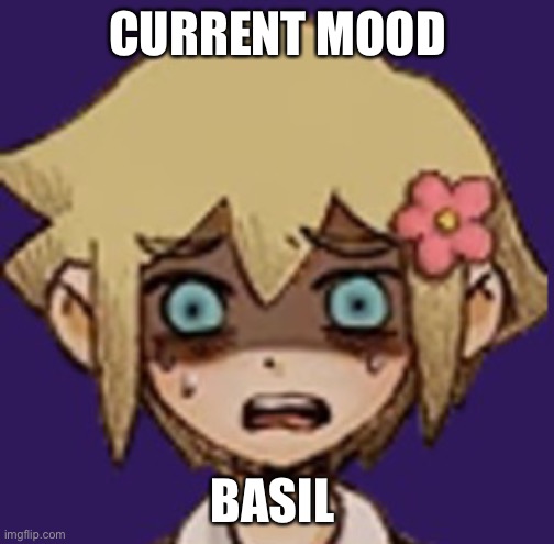 Don’t ask why. | CURRENT MOOD; BASIL | made w/ Imgflip meme maker