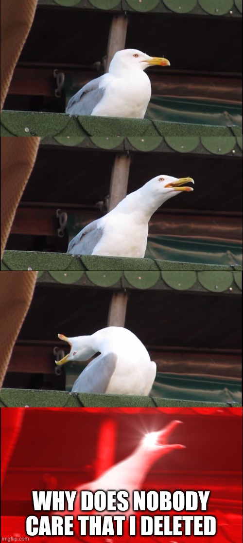 Inhaling Seagull | WHY DOES NOBODY CARE THAT I DELETED | image tagged in memes,inhaling seagull | made w/ Imgflip meme maker