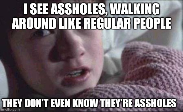 I See Dead People |  I SEE ASSHOLES, WALKING AROUND LIKE REGULAR PEOPLE; THEY DON'T EVEN KNOW THEY'RE ASSHOLES | image tagged in memes,i see dead people | made w/ Imgflip meme maker