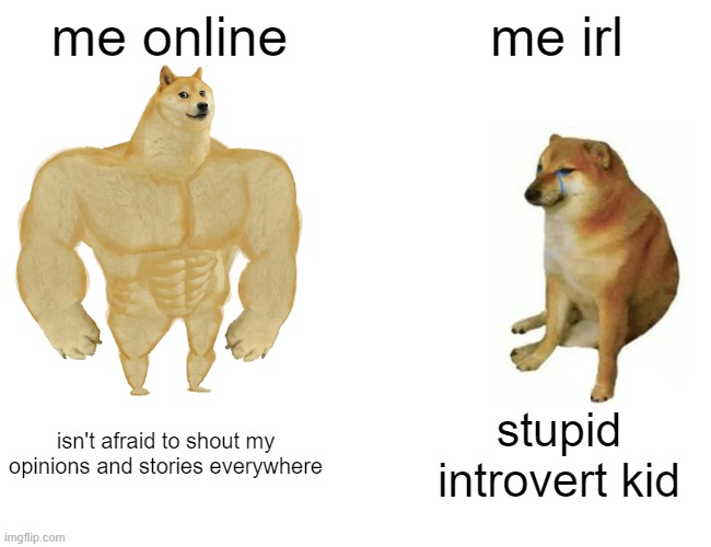 Buff Doge vs. Cheems | me online; me irl; isn't afraid to shout my opinions and stories everywhere; stupid introvert kid | image tagged in memes,buff doge vs cheems | made w/ Imgflip meme maker