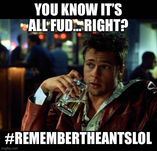 brad pitt beer fight club | YOU KNOW IT’S ALL FUD… RIGHT? #REMEMBERTHEANTSLOL | image tagged in brad pitt beer fight club | made w/ Imgflip meme maker