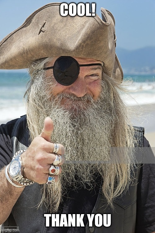 PIRATE THUMBS UP | COOL! THANK YOU | image tagged in pirate thumbs up | made w/ Imgflip meme maker