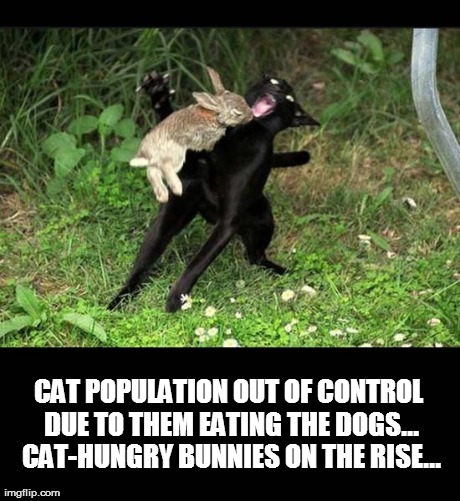 CAT POPULATION OUT OF CONTROL DUE TO THEM EATING THE DOGS... CAT-HUNGRY BUNNIES ON THE RISE... | made w/ Imgflip meme maker