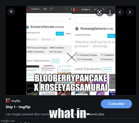 what in- | made w/ Imgflip meme maker